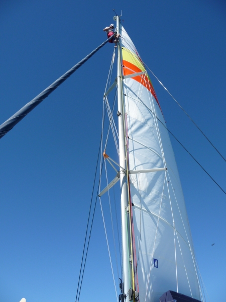 20100528-g-P1020696.JPG
2592x3456
4127 KB
Filetype: picture