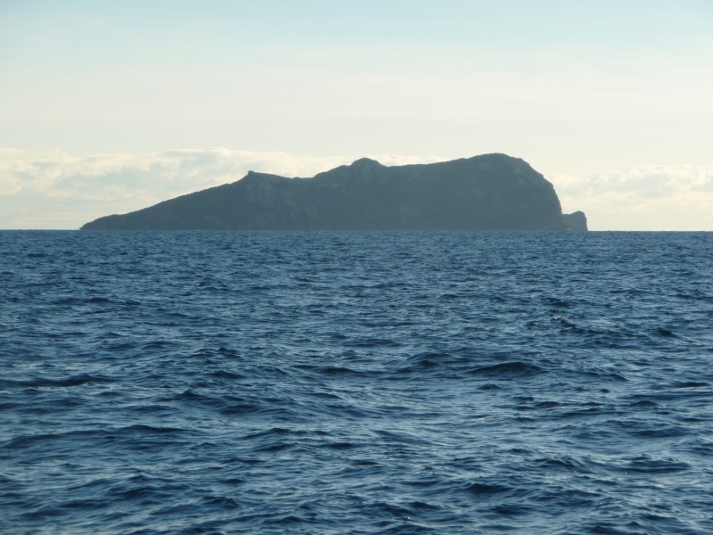 20100528-l-P1020661.JPG
3456x2592
4193 KB
Filetype: picture