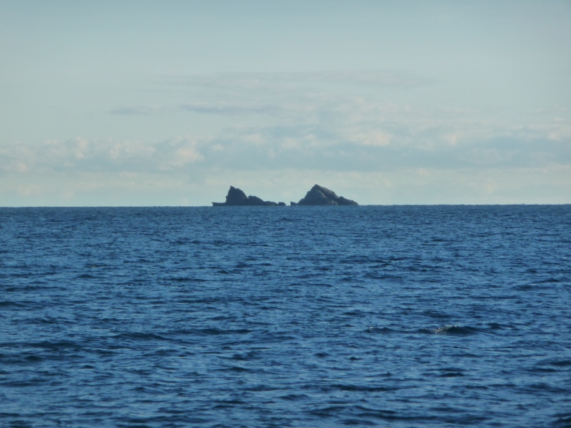 20100528-m-P1020665.JPG
3456x2592
3877 KB
Filetype: picture