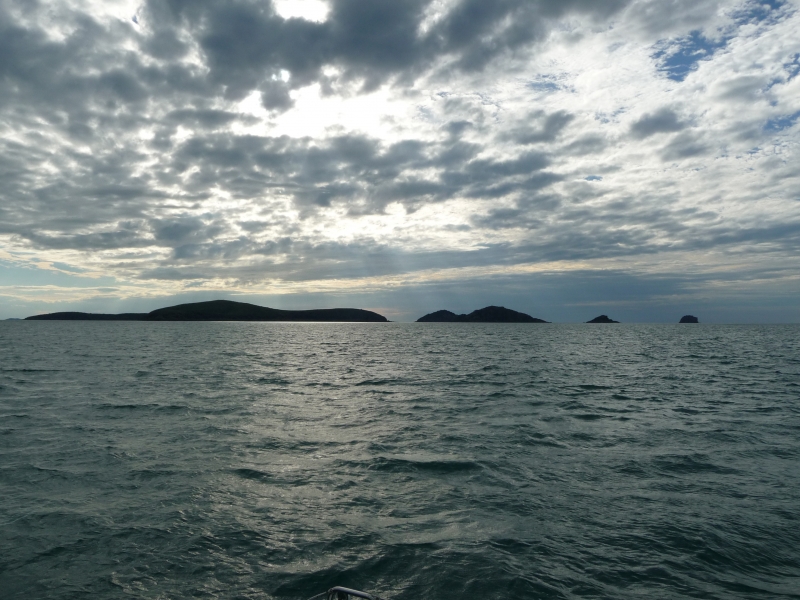 20100529-4-P1020711.JPG
3456x2592
3847 KB
Filetype: picture