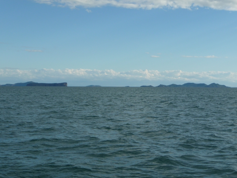 20100529-5-P1020712.JPG
3456x2592
3983 KB
Filetype: picture