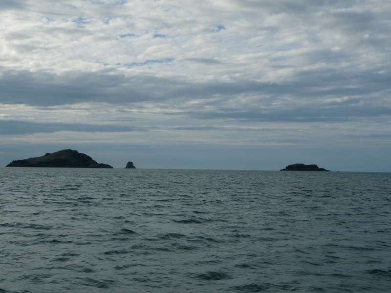 20100529-6-P1020713.JPG
3456x2592
3691 KB
Filetype: picture