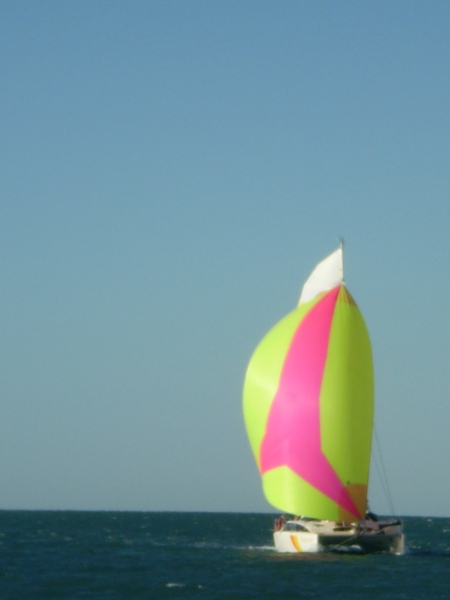 20100530-l.JPG
2304x3072
1315 KB
Filetype: picture