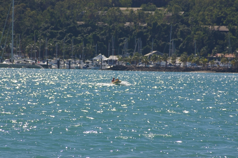 20100530-z1-IMGP1571.JPG
3008x2000
3039 KB
Filetype: picture