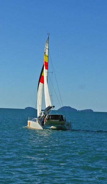 IMGP1595_edited-1.jpg
1008x1728
535 KB
Filetype: picture